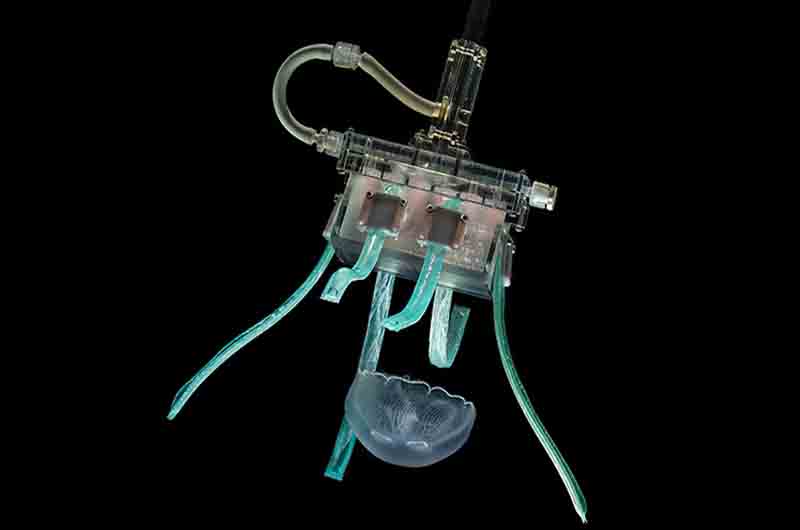 Este robot atrapa medusas con un suave abrazo