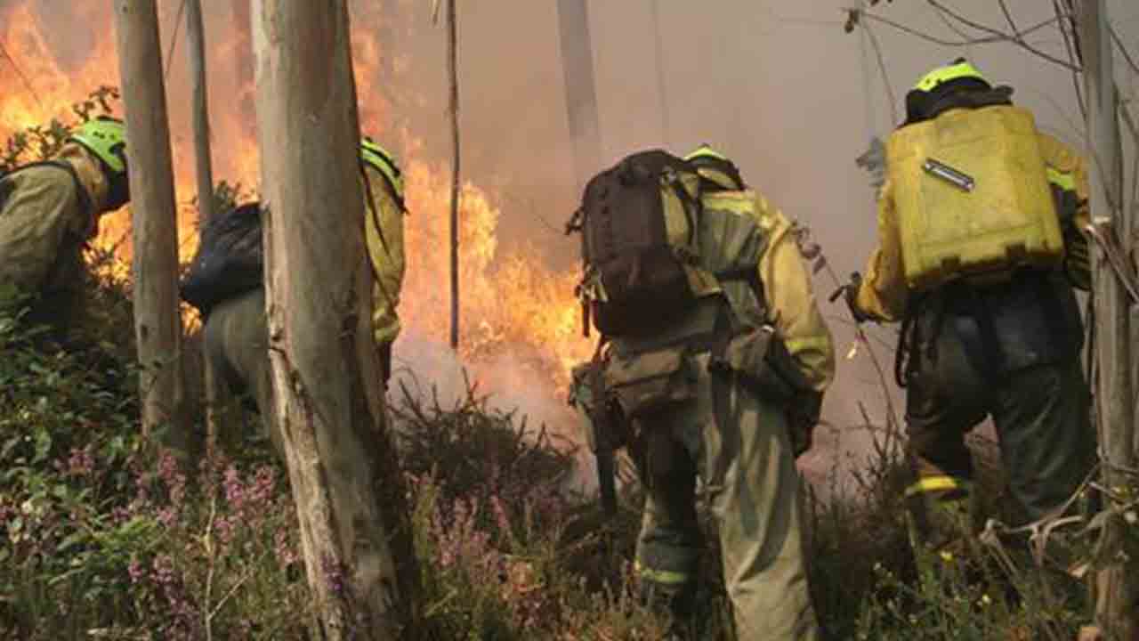 El Gobierno despliega medios aéreos y terrestres por los incendios declarados en Ourense