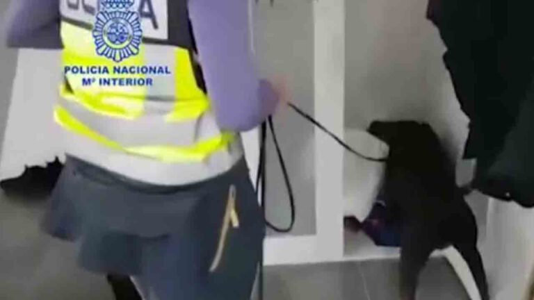 11 detenidos en la mayor incautación de drogas sintéticas en España