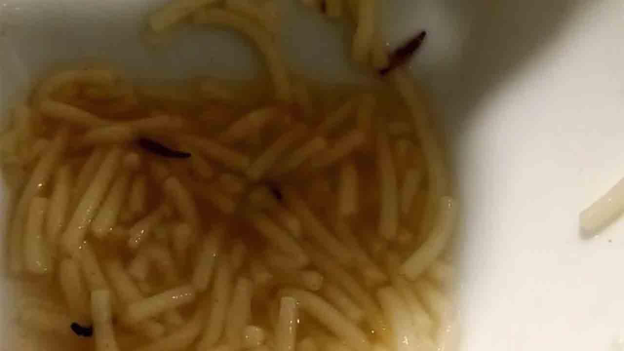 20 intoxicados en el Hospital de León por gusanos en la sopa